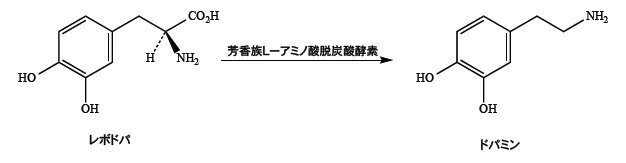 解説画像